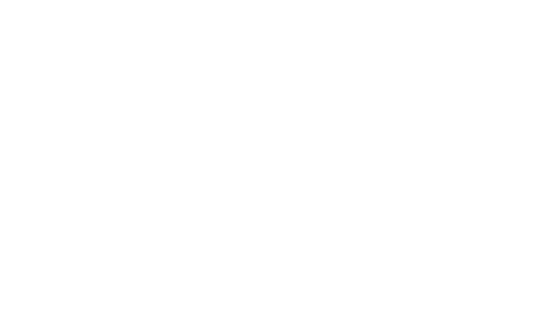 logo-plae-white